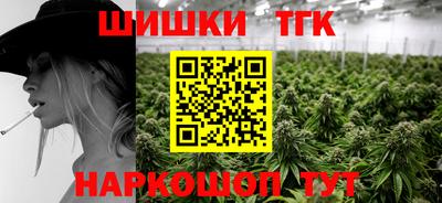 прущие грибы Вышний Волочёк
