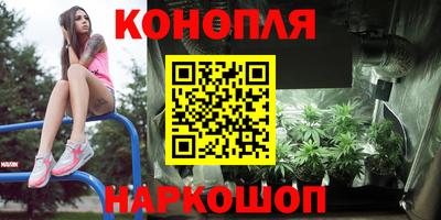 гашик Вязники