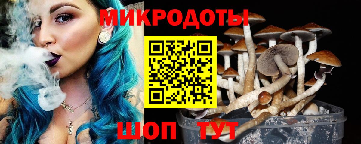 Джанкой  Псилоцибиновые грибы Psilocybe  Вход с VPN 